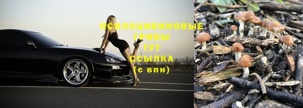 шишки Абинск