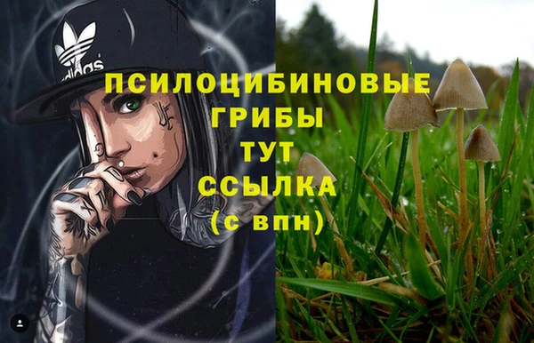 шишки Абинск