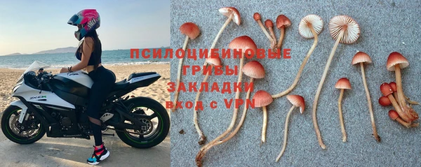 не бодяженный Алексин