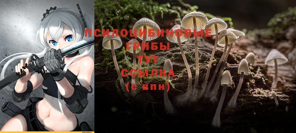 трава Алзамай