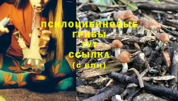 скорость Алексеевка