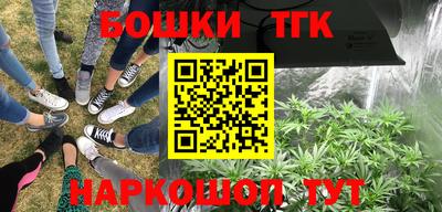 прущие грибы Бийск