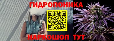 прущие грибы Бийск