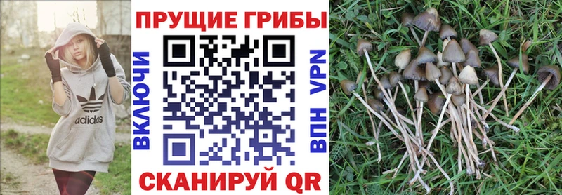 ссылка на мегу ссылка  даркнет сайт  Балаково  Галлюциногенные грибы мицелий 