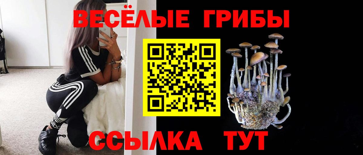 Балаково  Псилоцибиновые грибы прущие грибы  Вход с VPN 