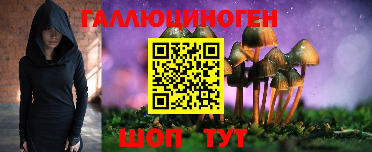 Псилоцибиновые грибы Psilocybe Балаково